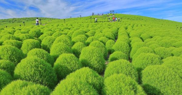 2021年 夏の人気急上昇！国内旅行先ランキング
