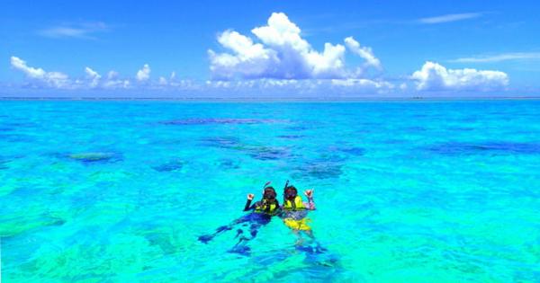 石垣島シュノーケリング