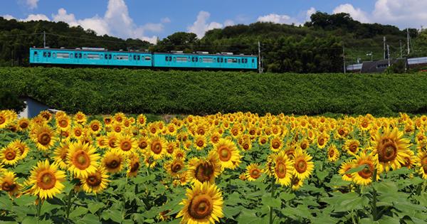 関西・大阪の8月に行きたい観光スポット