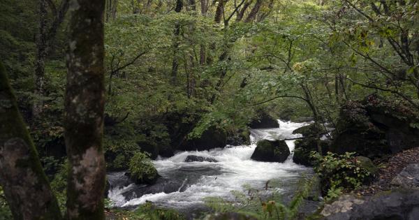 十和田八幡平国立公園