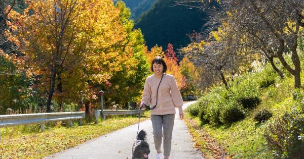 松阪わんわんパラダイス　森のホテルスメール