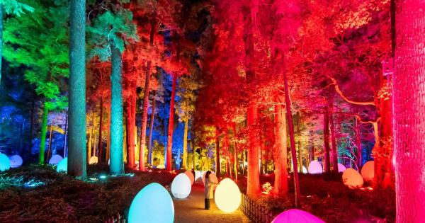 チームラボ 偕楽園 光の祭 2022
