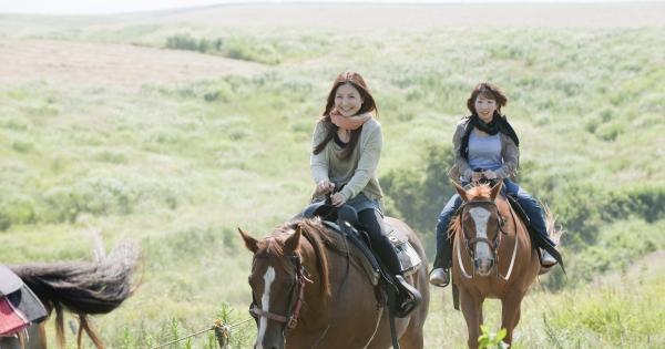 エル・パティオ牧場