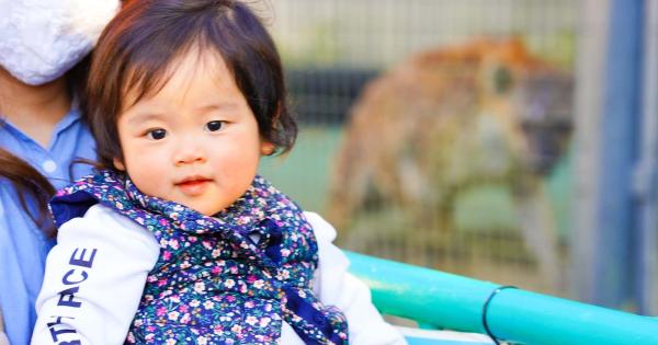 子どもの動物園デビューにおすすめ！子連れ動物園ランキングTOP10