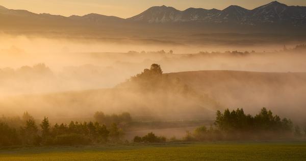 早朝のマイルドセブンの丘