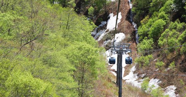 新緑と残雪の間を進む苗場ドラゴンドラ