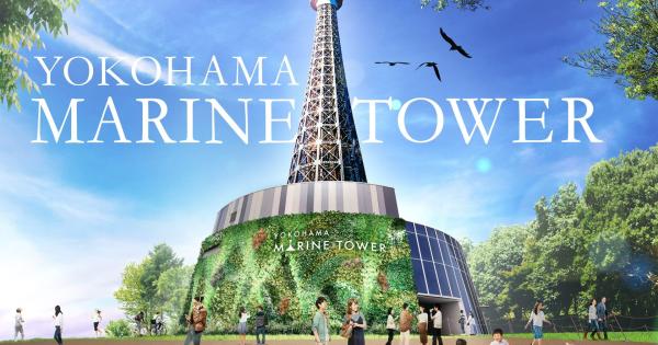 9月1日にリニューアルオープンする横浜マリンタワー