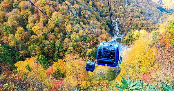 清津川の上と紅葉の中を進む「苗場ドラゴンドラ」