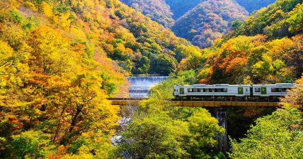 「休暇村　陸中宮古」三陸エリアの紅葉が秘かな人気