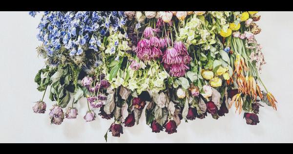 廃棄される花をドライフラワーとして、再び咲きほこらせます