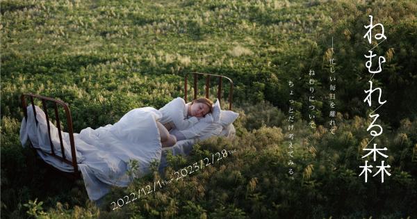 おやど森の音でねむりをテーマにしたイベント「ねむれる森」を開催