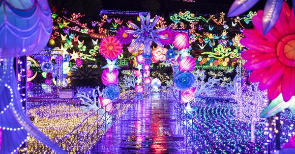 関東三大夜景のひとつ「さがみ湖イルミリオン」