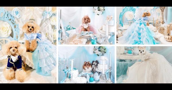 愛犬がプリンセスに大変身！2022年10月～11月に開催した「プリンセス撮影会」