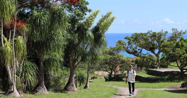 東村村民の森 つつじエコパーク