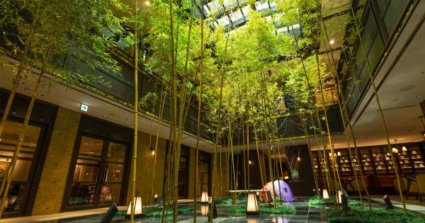 「ダーワ・悠洛 京都」竹林