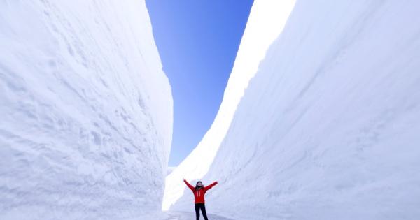 第30回を迎える「雪の大谷ウォーク」