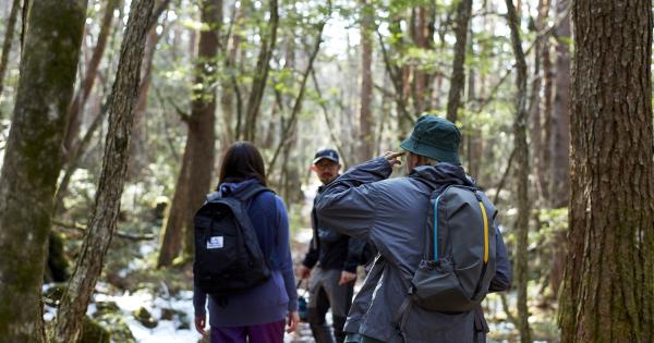 体験型アドベンチャー施設「FUJI GATEWAY」がプレオープン
