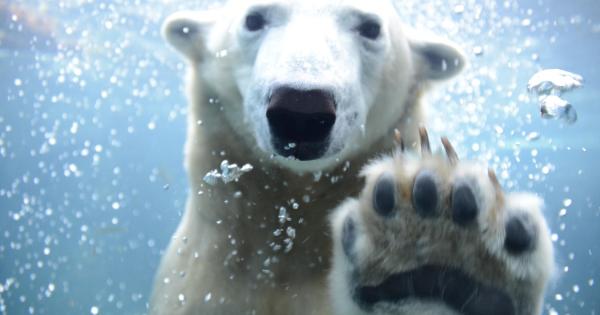 札幌市円山動物園