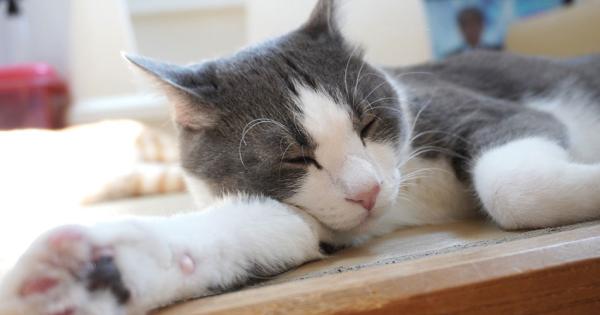 別府温泉　新玉旅館