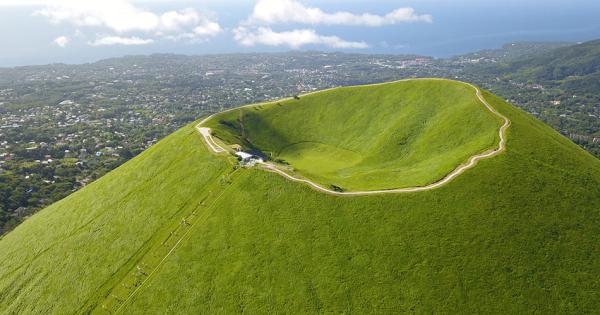 伊豆高原を大満喫！大室山とシャボテン公園、夜は圧巻のイルミネーションに感動
