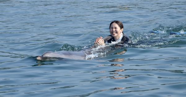 ドルフィンスイム体験様子2