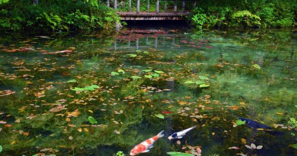 絶景スポット「モネの池（名もなき池）」と「うだつの上がる街並み」などをめぐる美濃・関おすすめ観光モデルコース