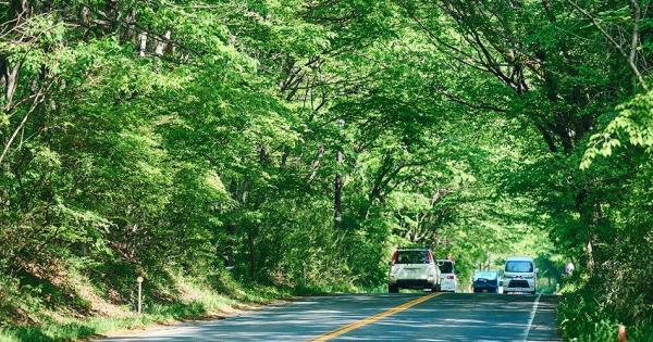 緑あふれる那須街道を遊びつくす！グルメとレトロに癒される日帰りドライブコース