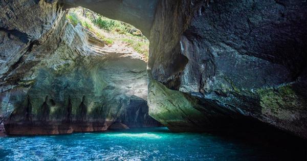 【静岡】海と夕陽と富士山に癒され、大自然の中で深呼吸！「西伊豆」のんびりやすらぎ旅