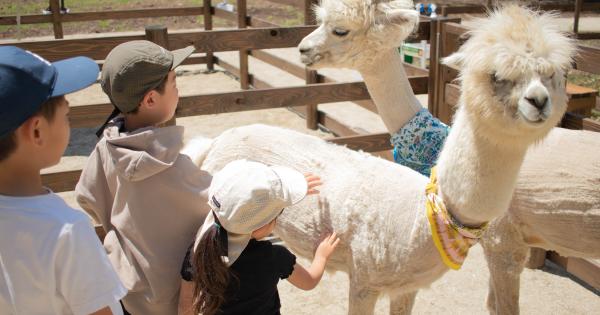 那須温泉「ホテルエピナール那須」に「どうぶつ広場」がオープン