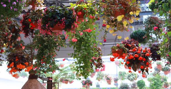 HANA・BIYORIフラワーシャンデリア