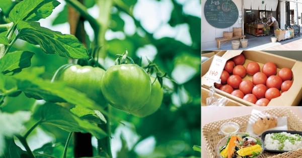 【清澄白河】地元想いの青果店「野菜のちから」店主が、全国の畑を訪ね歩くわけ