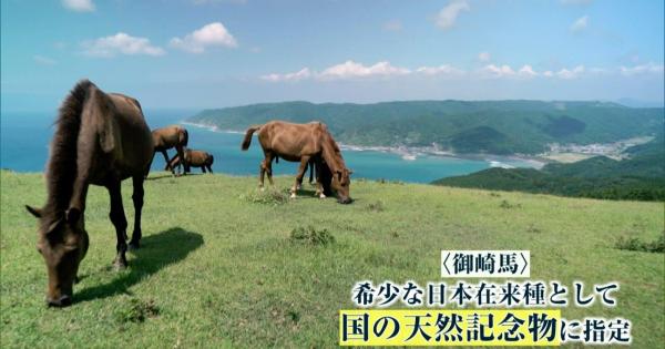 宮崎県串間市 夏の大満喫ツアー!!! 