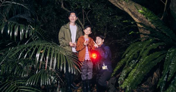 SDGs推進の星野リゾート「西表島ホテル」で早朝から夜間まで充実の島ステイ