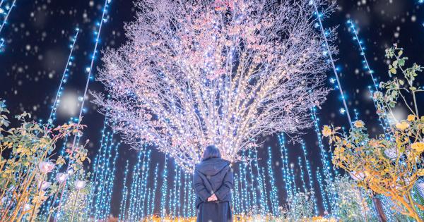 7年連続全国1位のイルミ・あしかがフラワーパーク「光の花の庭～Flower Fantasy2023～」スタート