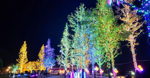 大阪・体験型農業公園「ハーベストの丘」でイルミネーションイベント