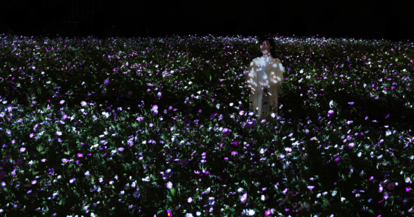 「チームラボ ボタニカルガーデン 大阪」作品が秋の装いに