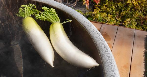 思わず二度見！？元湯 森の湯×JAふじ伊豆でSDGsな「三島大根の湯」開催