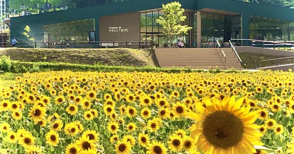 工場見学に収穫体験も！長野のテーマパーク「カゴメ野菜生活ファーム富士見」で野菜体験