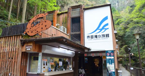 オオサンショウウオと対面！三重県名張市・赤目四十八滝門前に「赤目滝水族館」が開館