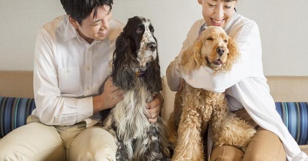 南紀白浜わんわんパラダイス