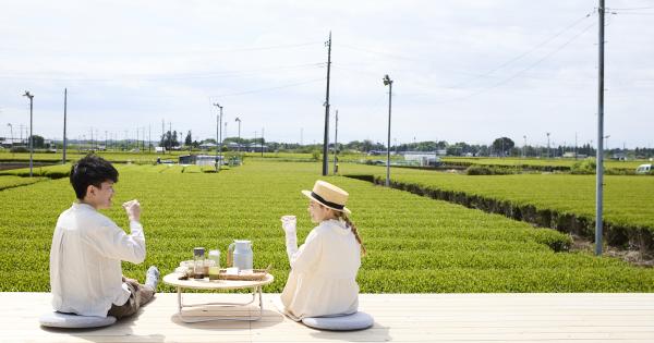 新プラン登場！新茶シーズンは「狭山茶」を五感で味わう絶景「茶畑テラス」へ！