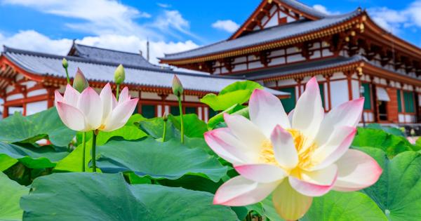 奈良・薬師寺 蓮