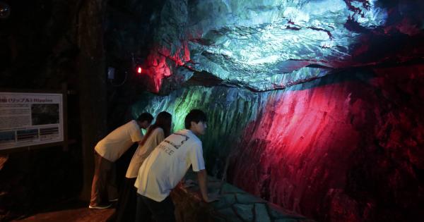 南紀白浜の景勝地「三段壁洞窟」で 「星降る洞窟ナイトウォーク」開催