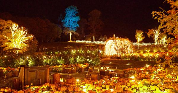 いばらきフラワーパーク「Moonlight Rose Garden2024」