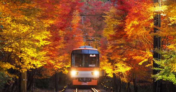 「京の奥座敷・貴船もみじ灯篭」もみじのトンネル