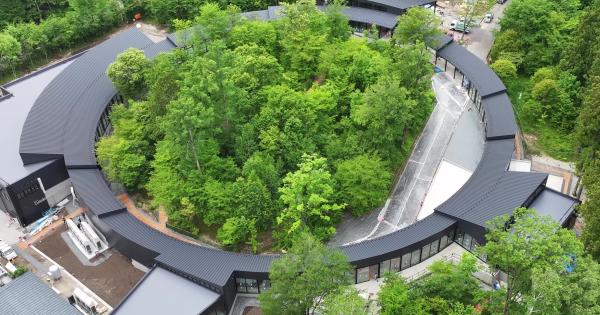 フォレストリング