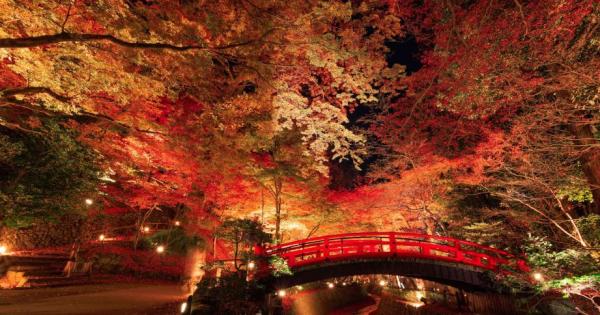 NAKED GARDEN ONE KYOTO 2024 秋