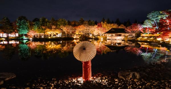 東京「国営昭和記念公園」で紅葉と光の競演「秋の夜散歩2024」開催
