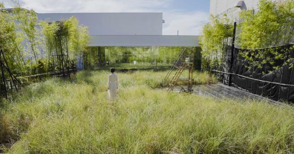 チームラボ「風と雨と太陽の草原」