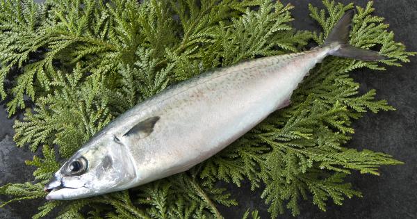 姫路のブランド鯖「ぼうぜ鯖」が2024年11月1日に初解禁